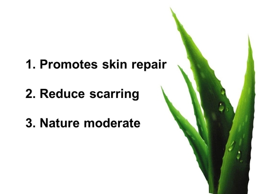 Natural Tattoo Repair Cream Aloe Vera Effective Repair Lip Eyebrow Eye